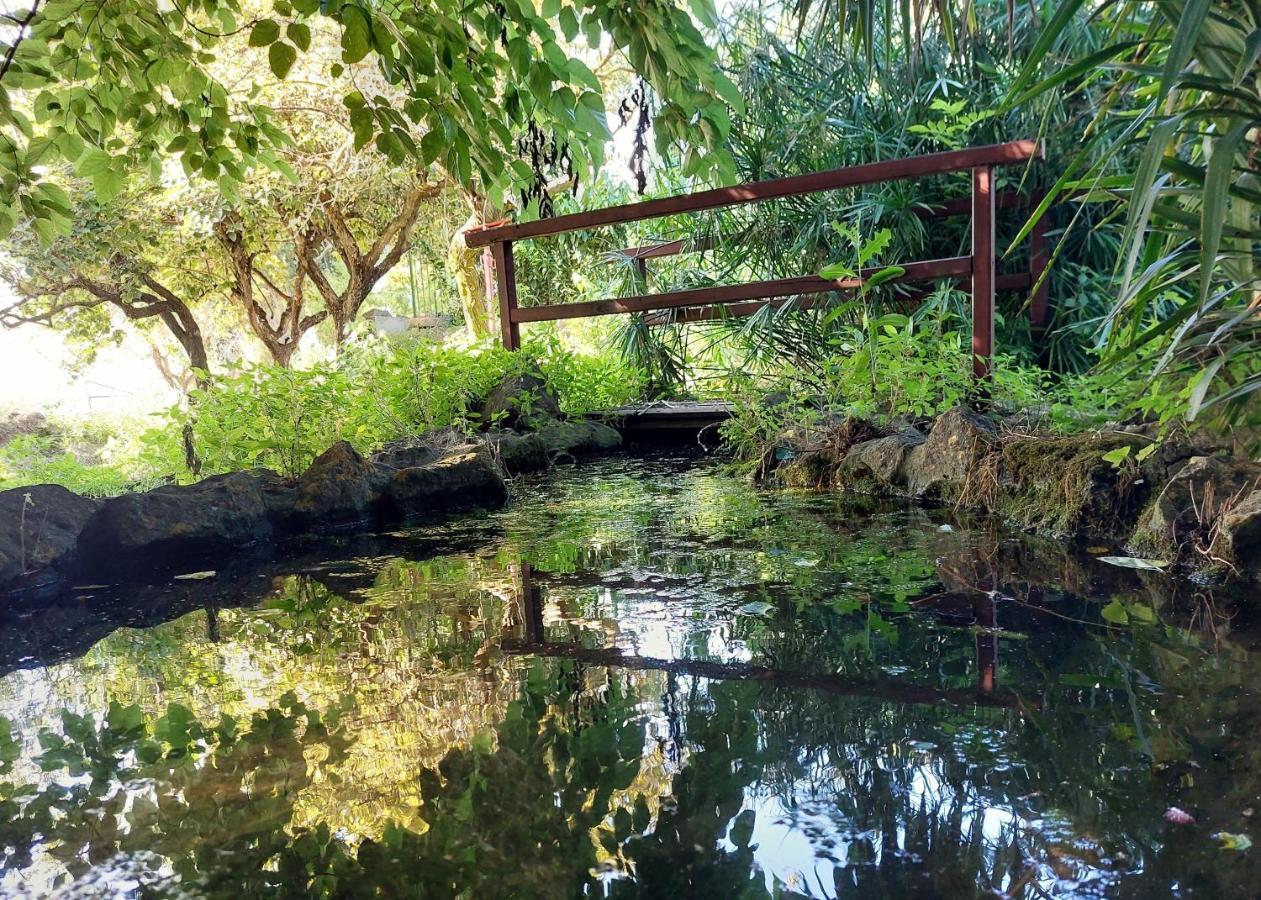 Giardini Penelope Resort E Spa Ciampino Esterno foto
